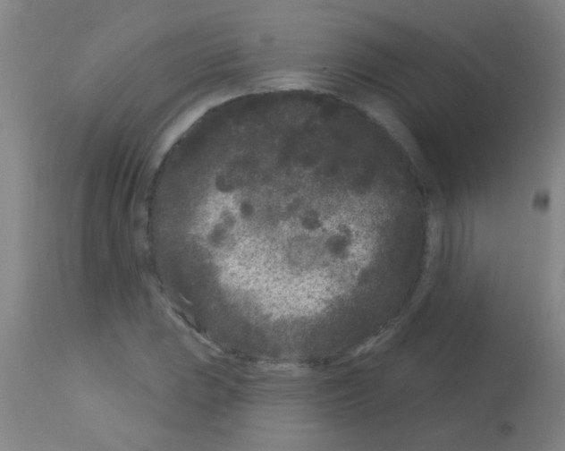 X0000113161023200910161239