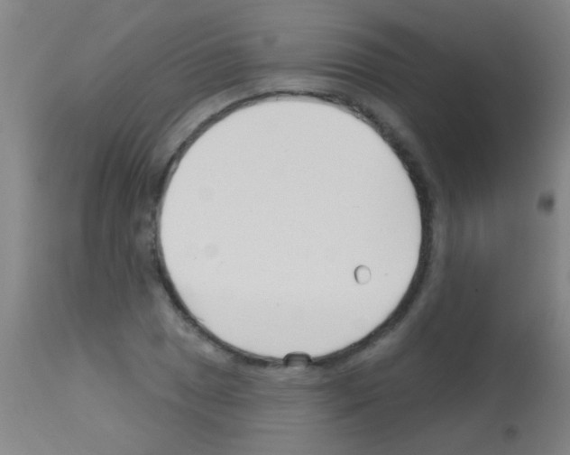 X0000113161025200910161239