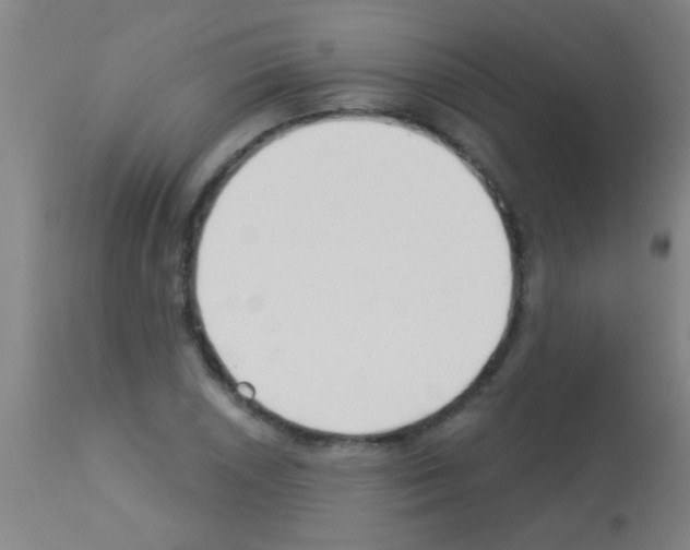 X0000113161026200910161239