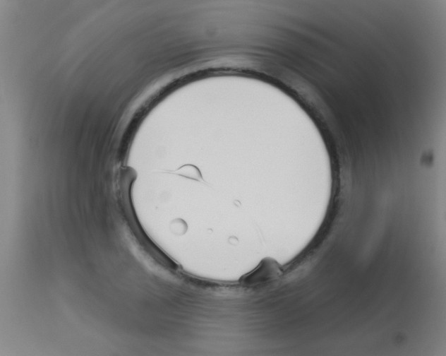 X0000113161029200910161239