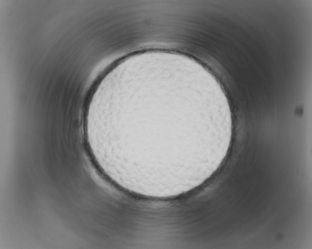 X0000113161030200910161239