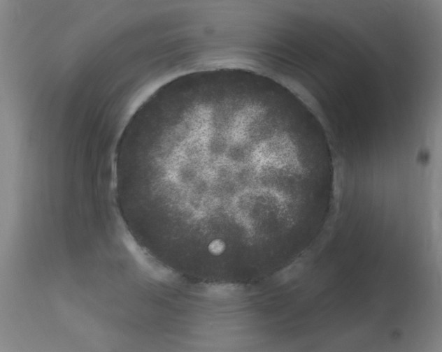 X0000113161031200910161239