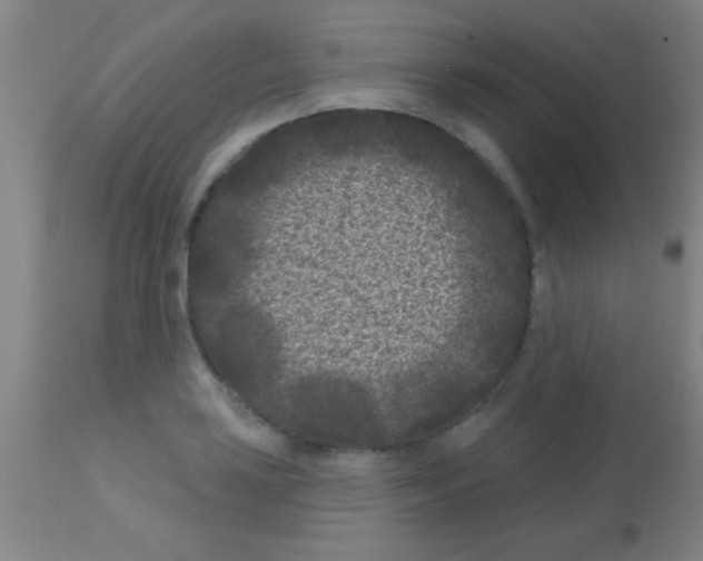 X0000113161035200910161239