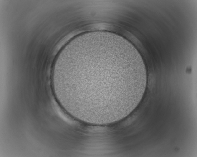 X0000113161039200910161239