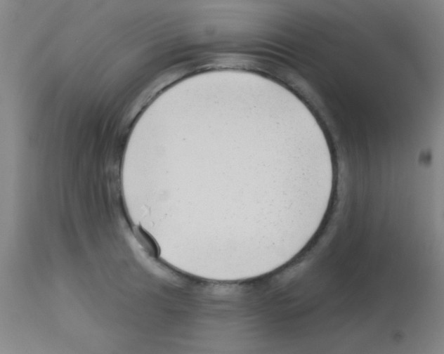 X0000113161041200910161239