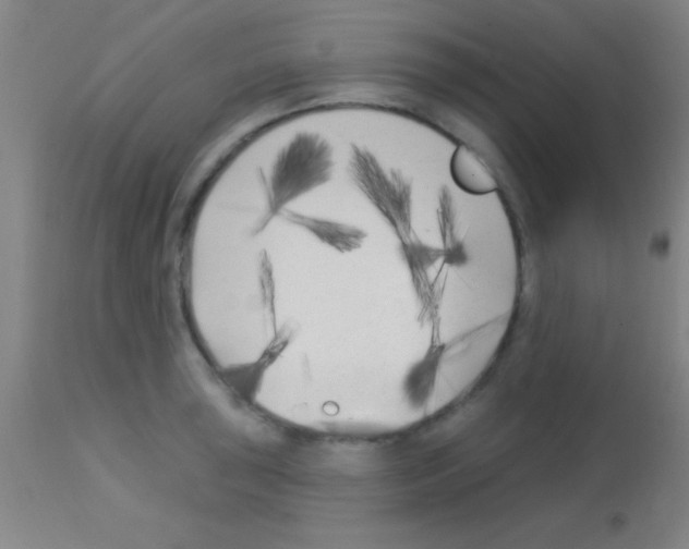 X0000113161043200910161239