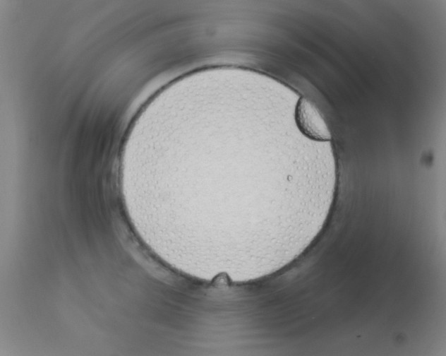 X0000113161044200910161239