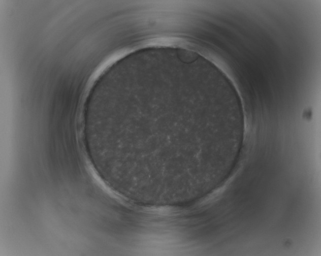 X0000113161045200910161239