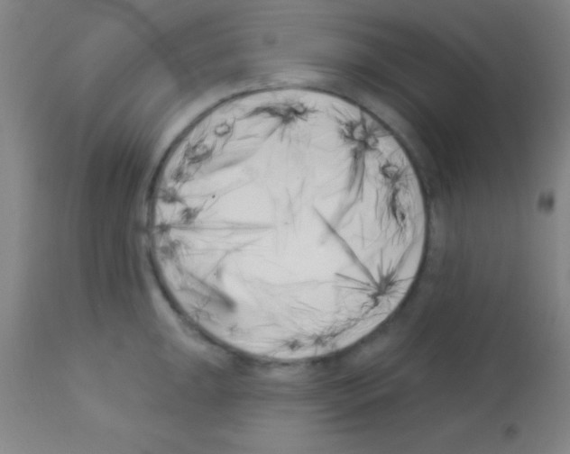 X0000113161047200910161239