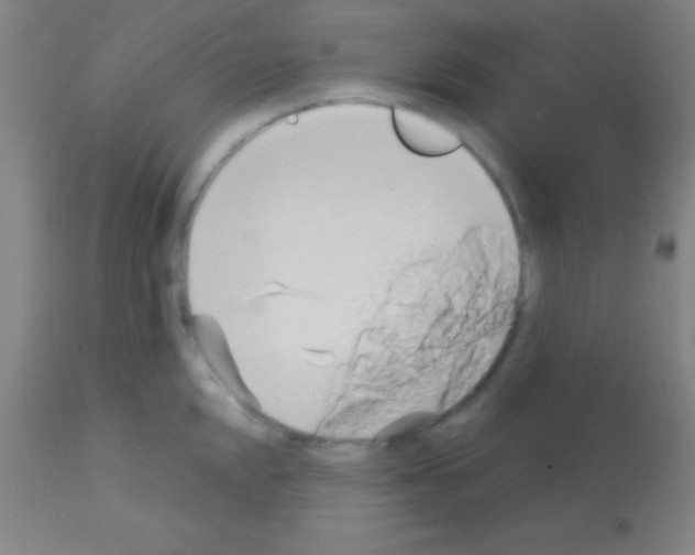 X0000113161048200910161239