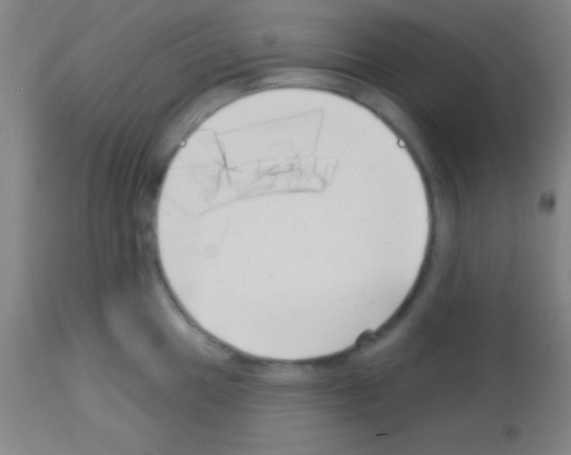 X0000113161049200910161239