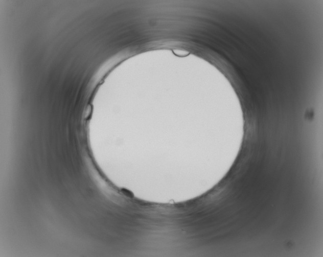 X0000113161050200910161239