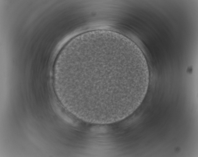 X0000113161051200910161239