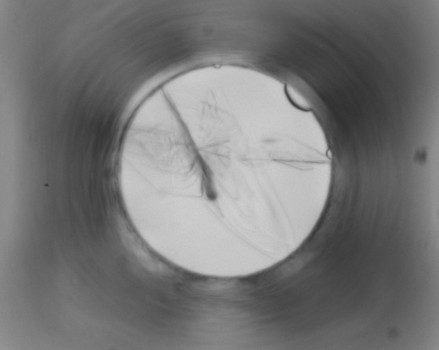 X0000113161052200910161239