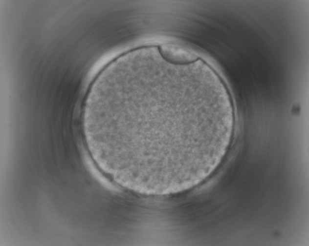 X0000113161053200910161239