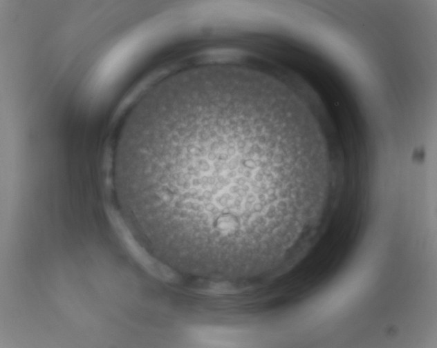 X0000113161054200910161239