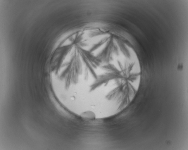 X0000113161055200910161239