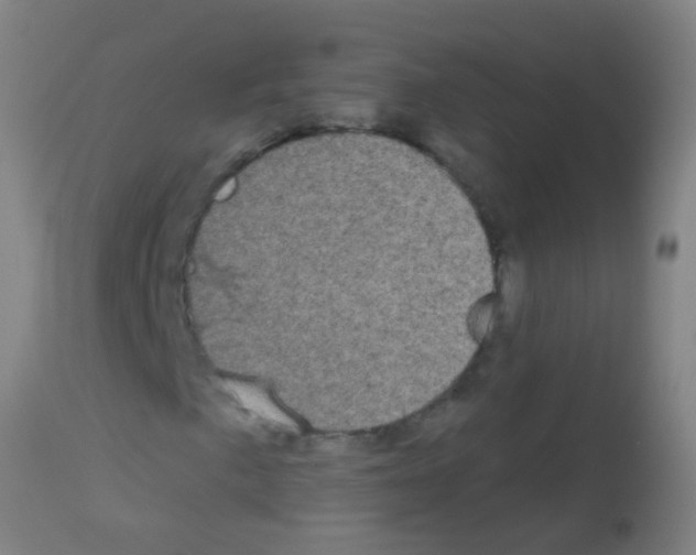 X0000113161057200910161238