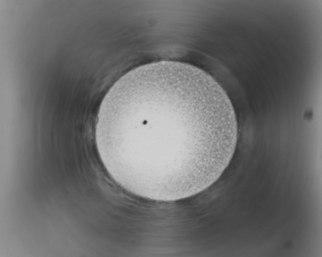 X0000113161058200910161238