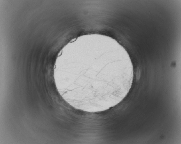 X0000113161059200910161238