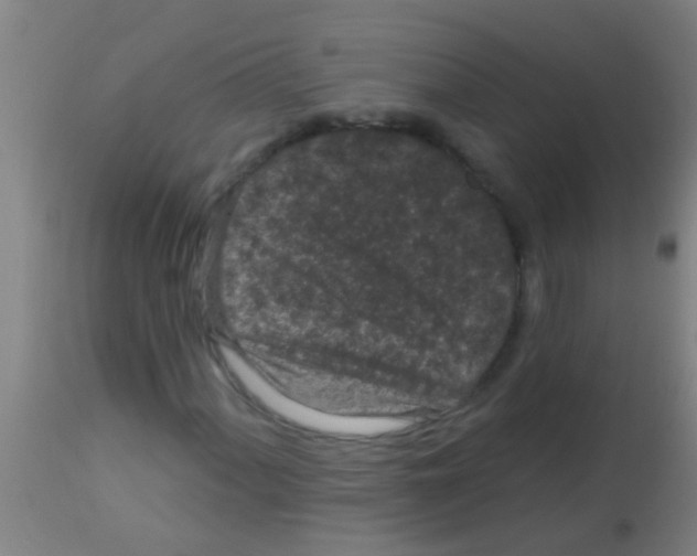 X0000113161060200910161238