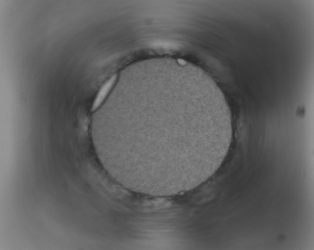 X0000113161061200910161238