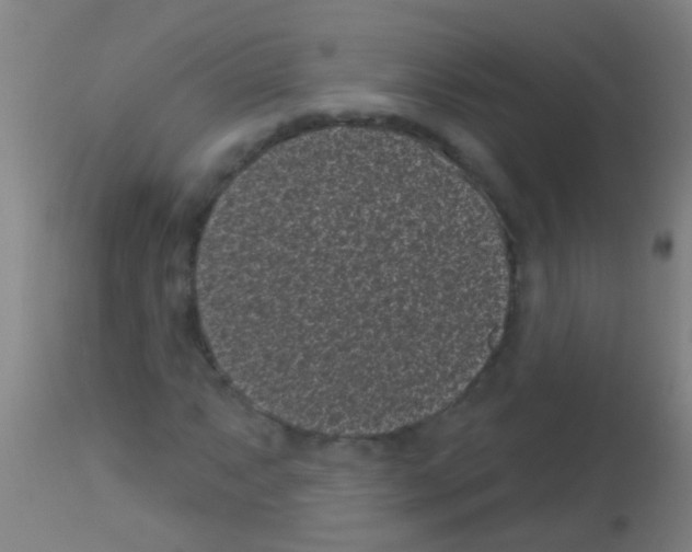 X0000113161063200910161238