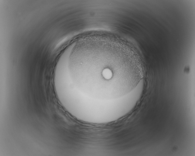 X0000113161064200910161238