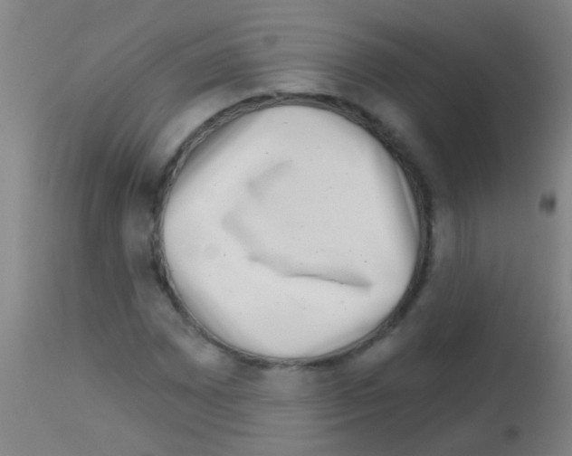 X0000113161065200910161238