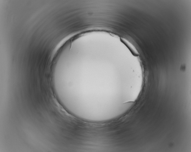 X0000113161068200910161238