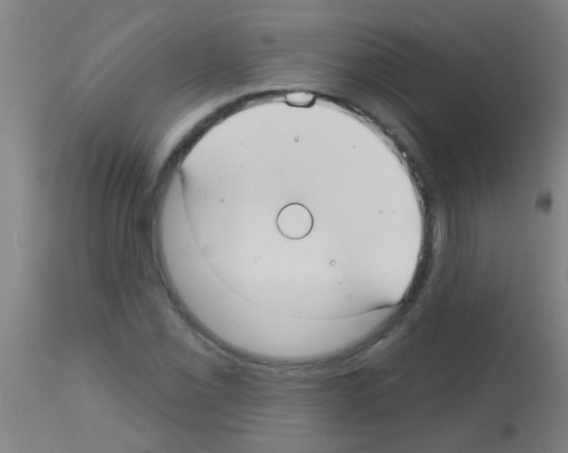 X0000113161069200910161238