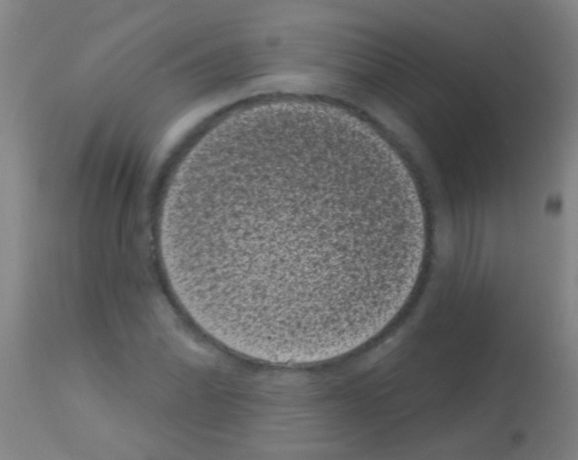 X0000113161070200910161238