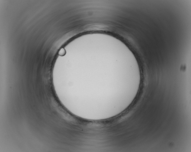 X0000113161073200910161238