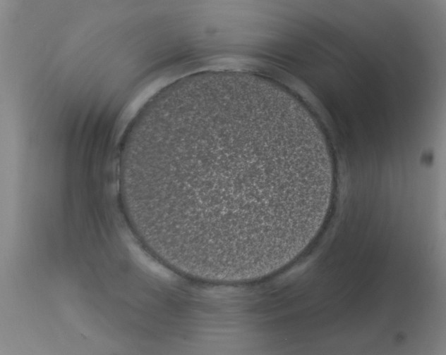 X0000113161075200910161238