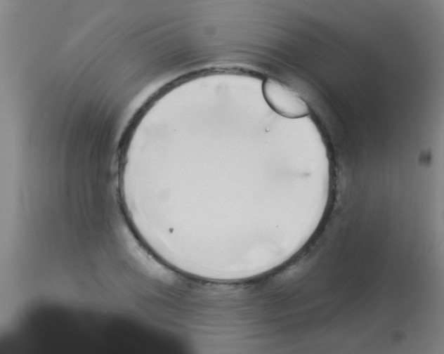 X0000113161076200910161238