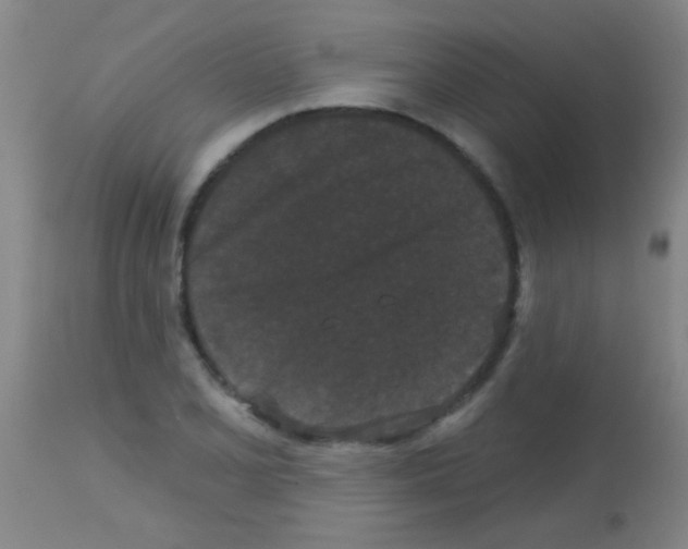 X0000113161077200910161238