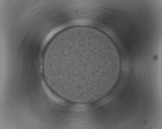 X0000113161078200910161238