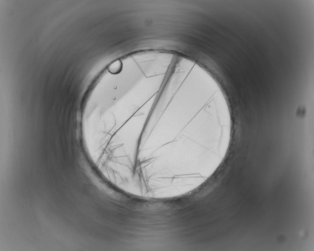 X0000113161079200910161238