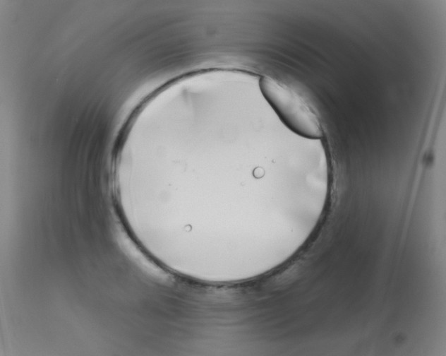 X0000113161080200910161238