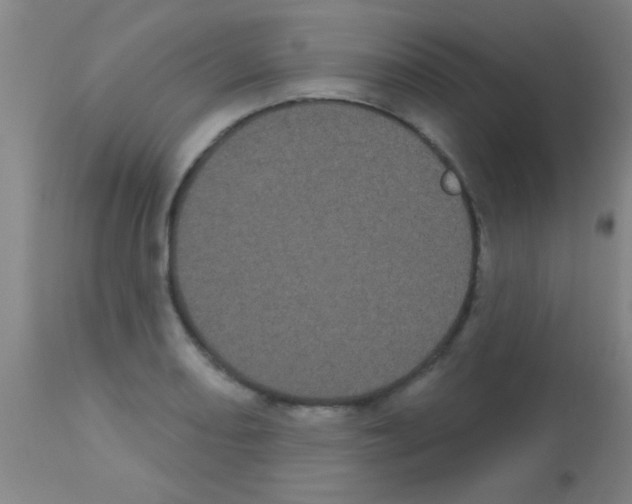 X0000113161082200910161238