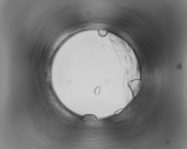 X0000113161083200910161238