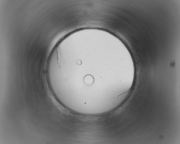 X0000113161085200910161238