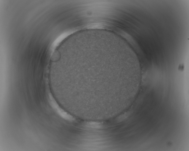 X0000113161086200910161238