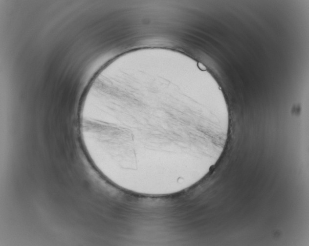 X0000113161087200910161238