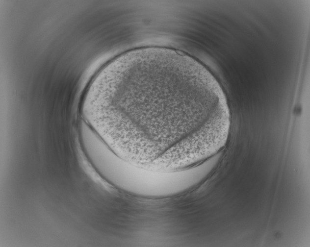 X0000113161088200910161238