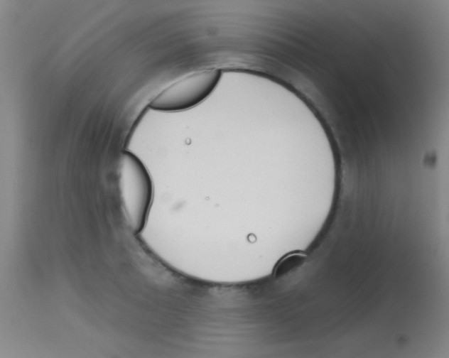 X0000113161089200910161238