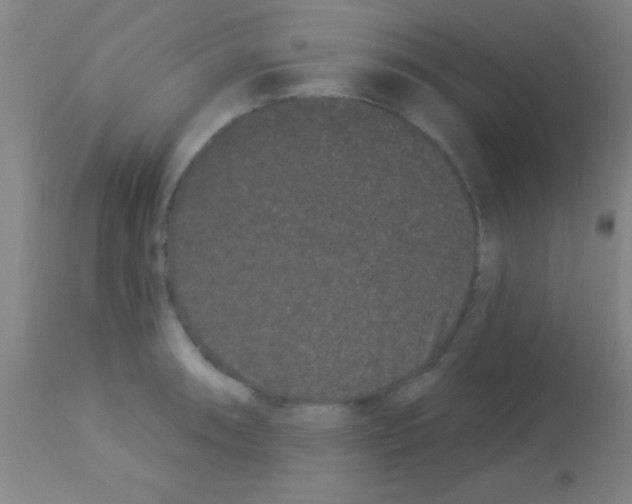 X0000113161090200910161238