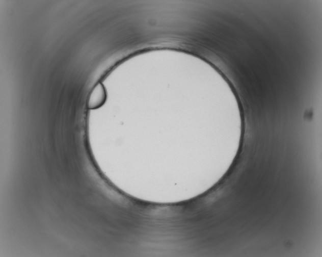 X0000113161093200910161238