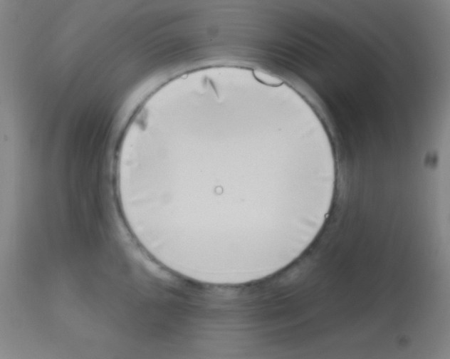 X0000113161096200910161238