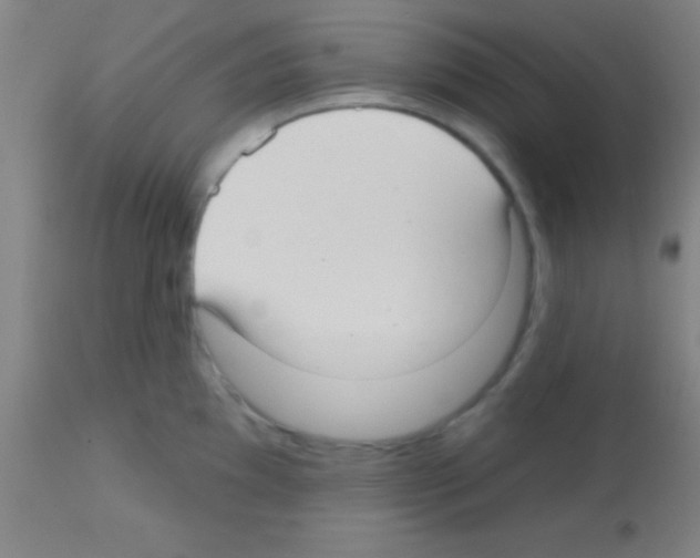 X0000113161097200910161238